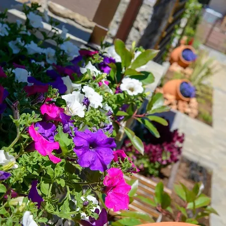 Holiday home La Terra Petra