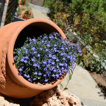 Nyaraló La Terra Petra