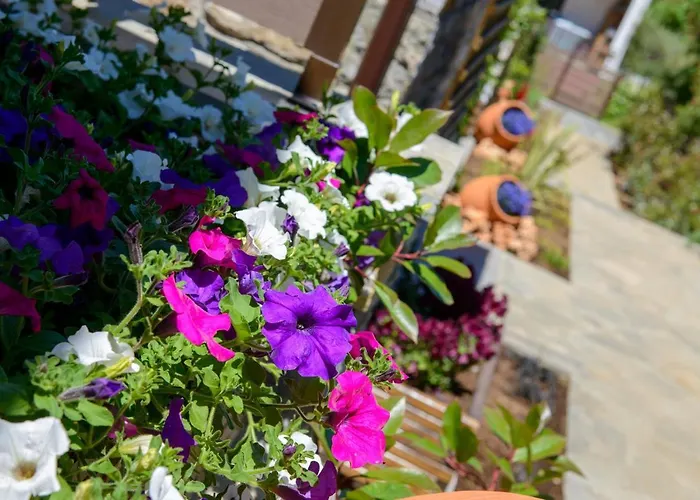 Ferienhaus La Terra Petra