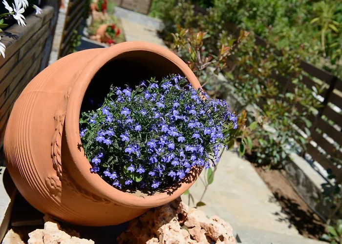 度假居 La Terra Petra